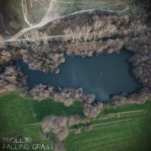 Falling Grass - Single