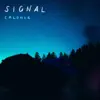 Signal