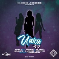 Única (Remix) [feat. Jotaerrepe, Seb D'bwoy, Dirtywolf, El Androide, Knny Bang & Pablo De2killah] - Single - Sikario