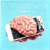 Stream & download Yyanosé - Single