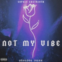 Not My Vibe - Single - Sophie Castriota & Brandon Jonak