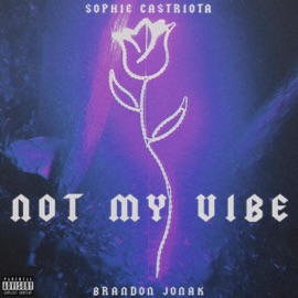 Not My Vibe Sophie Castriota & Brandon Jonak