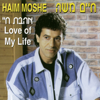 Haim Moshe - אהבת חיי artwork
