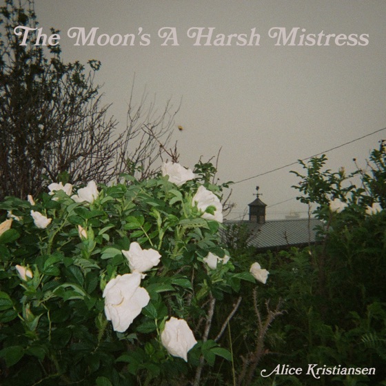 Cover artwork for The Moon's a Harsh Mistress