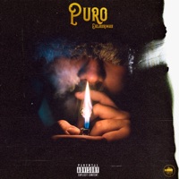 Puro - Synaka Rhymes