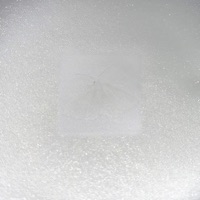 Styrofoam - Single - redboy