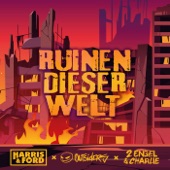 Ruinen Dieser Welt (Extended Mix) artwork