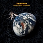 Tim Bluhm - Maybe Next Times