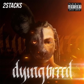 Hot Head (feat. Murda Mook) 2stacks