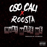 What Made Me (feat. Roosta) - Single - Osocali