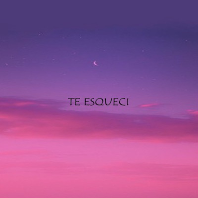 Te Esqueci - Single