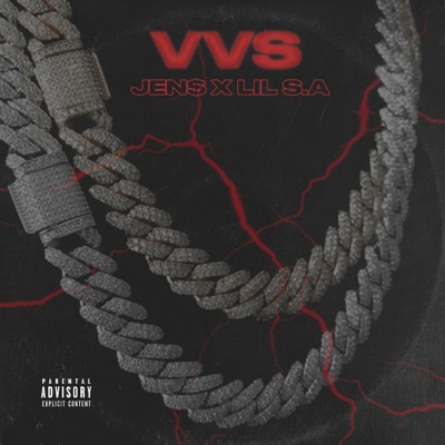 VV$ (feat. LIL S.A) - Single