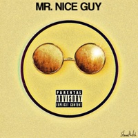 Mr. Nice Guy - Single - SteveeHutch