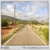 The Last Summer (Deluxe Edition) artwork