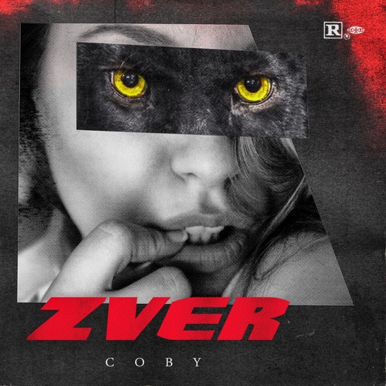 Cover artwork for Zver