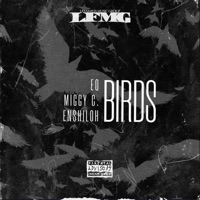 BIRDS (feat. Miggy C. & Enshiloh) - Single - EQ