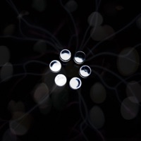 Eclipse (feat. Rob Leonard) - Single - ATC