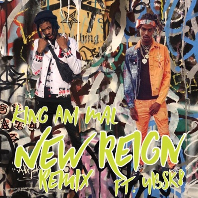 New Reign (feat. YB Sk8) [remix] - Single