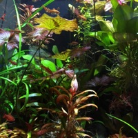 Wake Up Call - Single - TheKirbsMiester