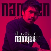 ฝันสลาย (feat. Grape) [Cover] - Single - น้ำเย็น