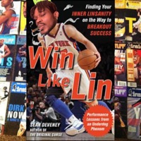 Linsanity - Single - Ill Vybz