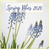 Spring Vibes 2020