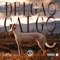 Delgao Galgo - MINUS CSQ lyrics