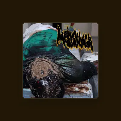 Listen to Metrorrhagia, watch music videos, read bio, see tour dates & more!