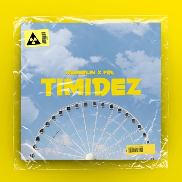 Timidez