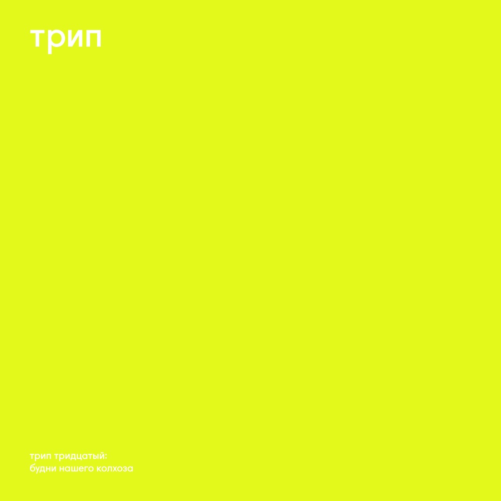 Обложка альбома «Budni Nashego Kolhoza - EP» — Vladimir Dubyshkin