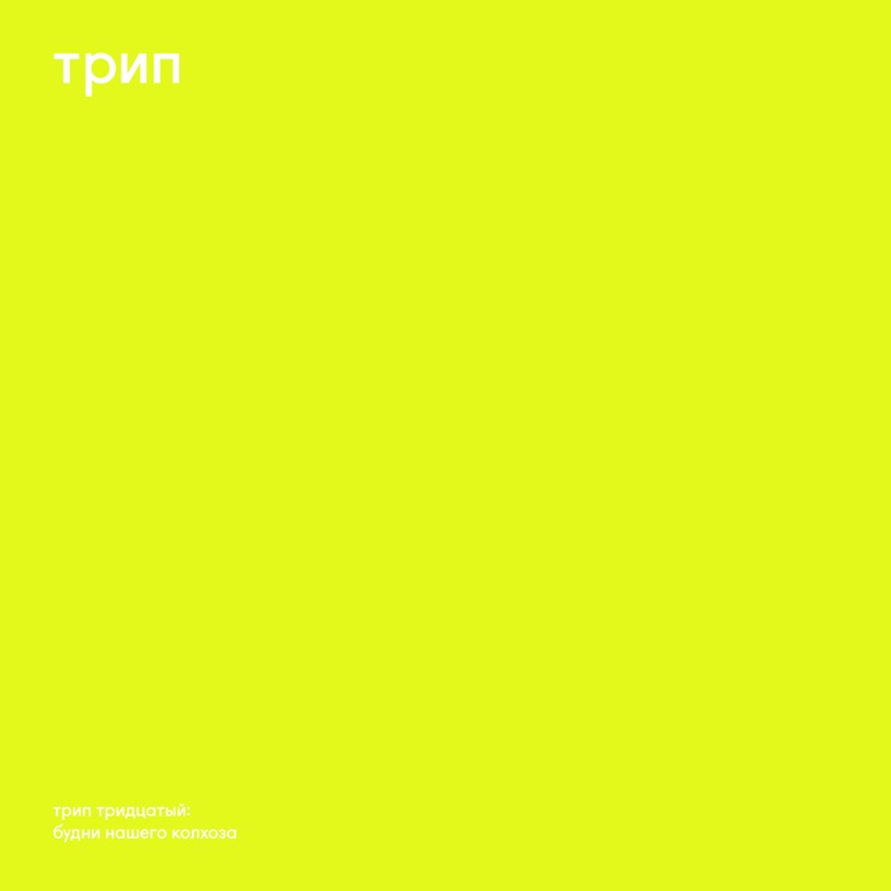 Album art for Grasshopper's Opinion