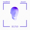 Blind (feat. Dialect) - Single