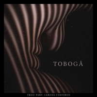 Tobogã (feat. Larissa Conforto) - Single - Troá!