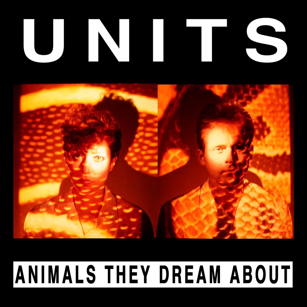 Artwork for Animals They Dream About
