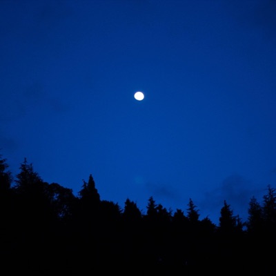 To the Star, Far Away - Single