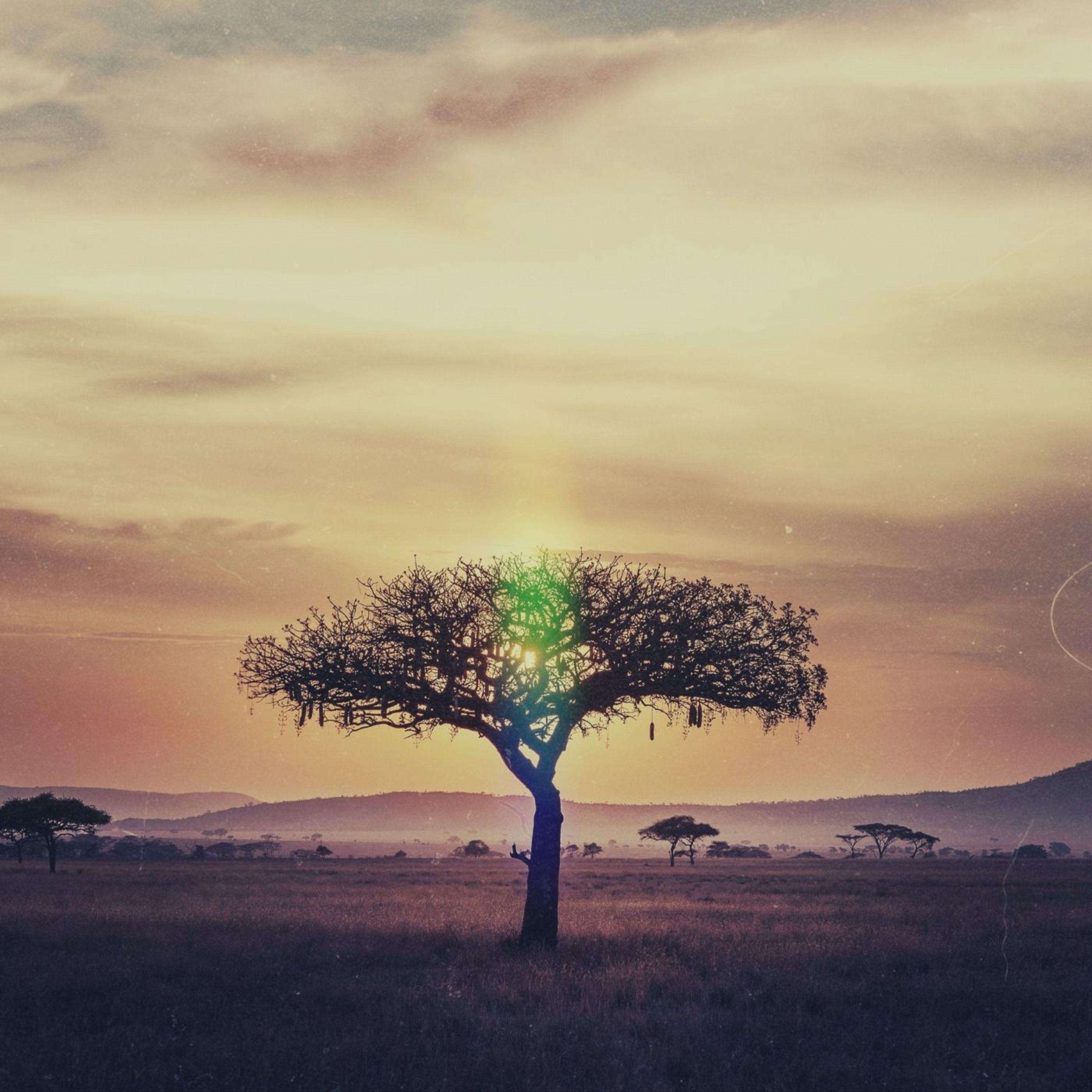 Can You Feel the Love Tonight - Single