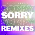 Sorry (James Hype Remix)