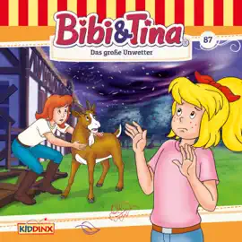 Bibi & Tina, Folge 87: Das große Unwetter