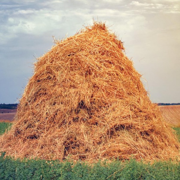 Haystack