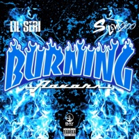 Burning Flavors - Single - Lil Seri & Silent200