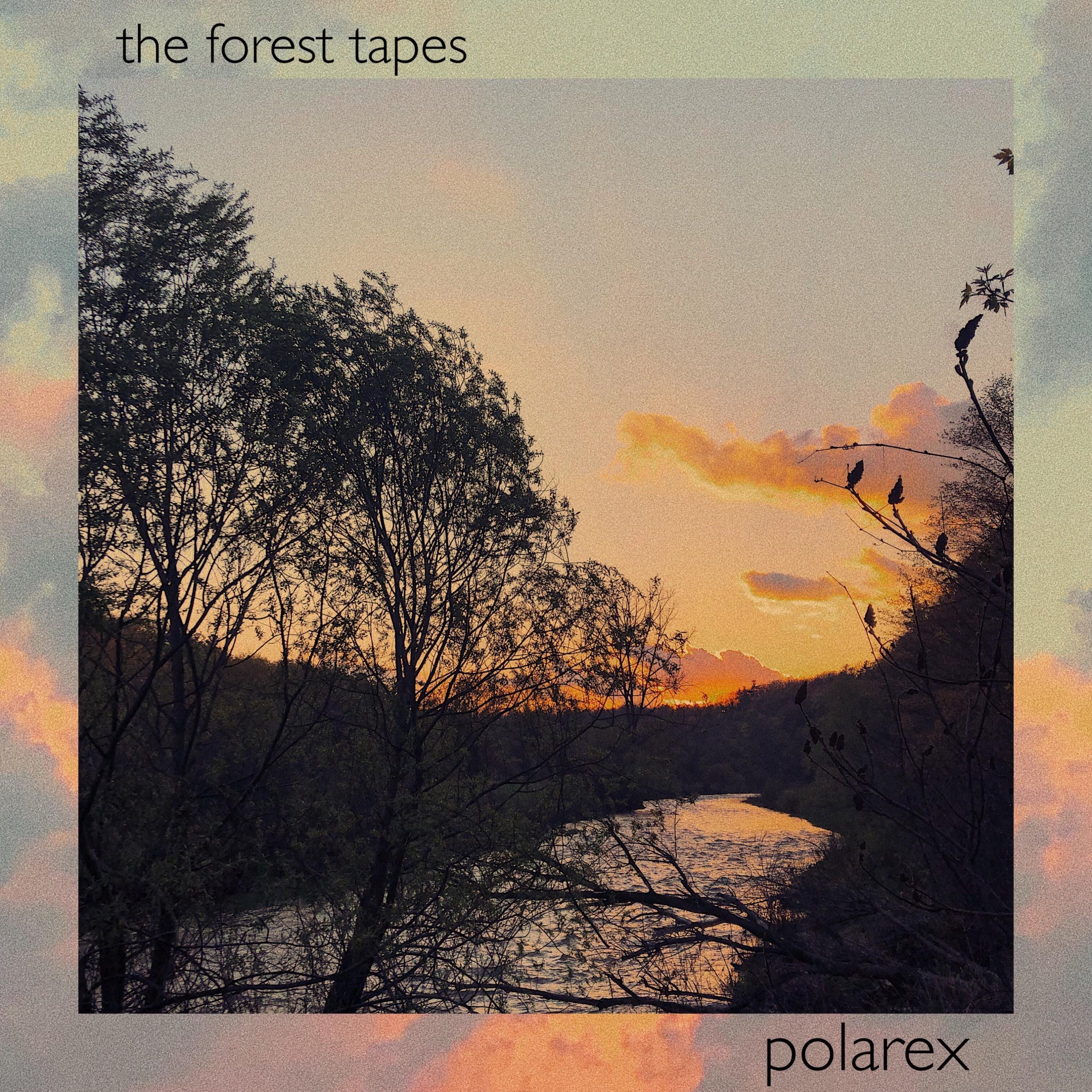 The Forest Tapes - Single