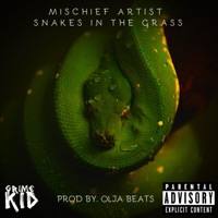 Snakes in the Grass - Single - Mischief Artist