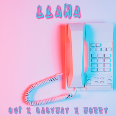 Llama (feat. Baby Jay & Jerry) - Single