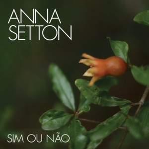 Sim ou Não - Single