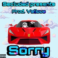 Sxrry! - Single - Seclxded