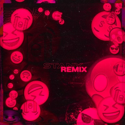 Stany Remix (feat. Bryan & Zeamsone) - Single