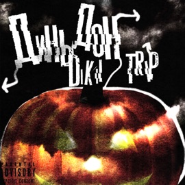 Динь дон dikii trip