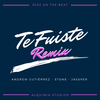 Te Fuiste (feat. Stone & Jassper) [Remix] - Single