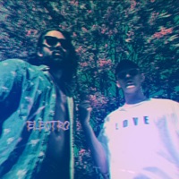 Electro Love (feat. Widzo Li & Mick C) - Single - Cozy Panic