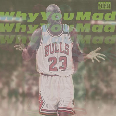 Why You Mad (feat. Icy Mike) - Single